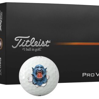 Titleist Pro V1 Golf Ball (Per Dozen)
