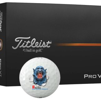 Titleist Pro V1 Golf Ball (Per Dozen)