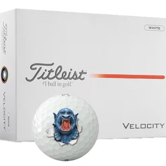 Titleist Velocity Golf Ball (Per Dozen)