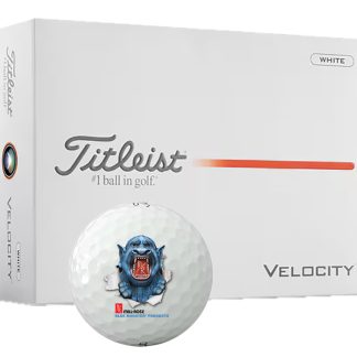 Titleist Velocity Golf Ball (Per Dozen)