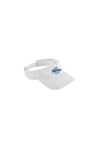 Athletic Mesh Visor